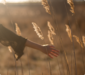Holistische Gesundheit Holistische Gesundheit
