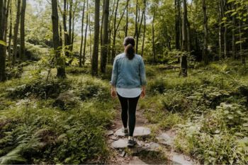 Waldbaden: Wie der Wald Körper und Geist zur Ruhe bringen kann