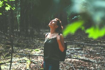 Waldbaden: Wie der Wald Körper und Geist zur Ruhe bringen kann